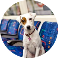 Lola-tube