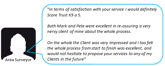 area-surveyor-testimonial