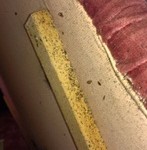 bedbugsheadboard