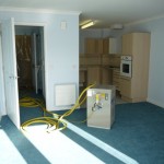 bed bug heat treatment