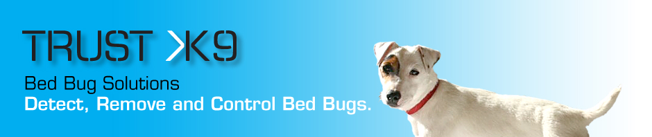 Bed Bug Information